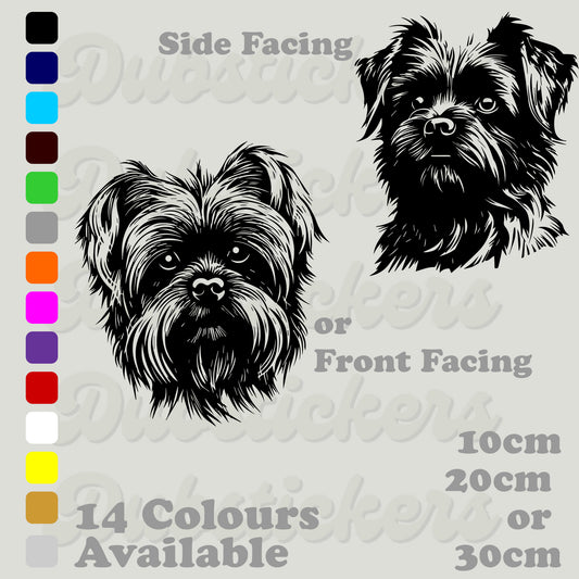 Affenpinscher front and side facing