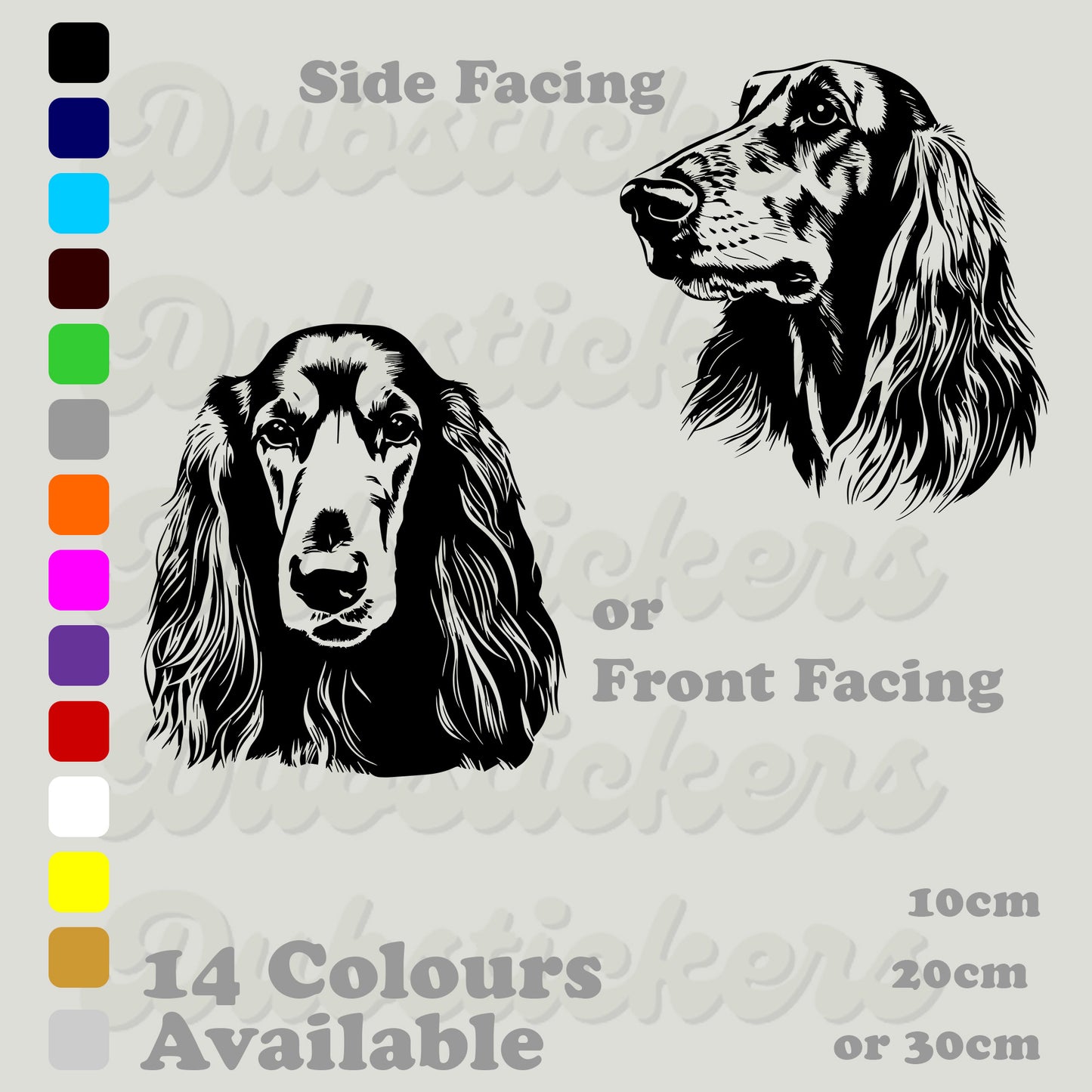 Afghan Hound front and side facing