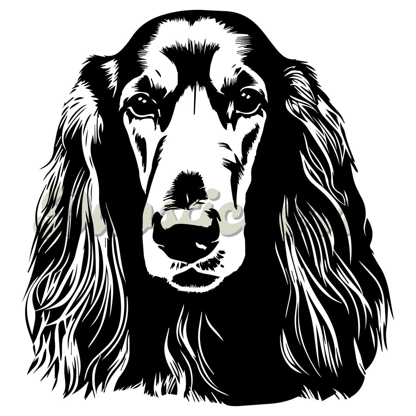 Afghan Hound Decal