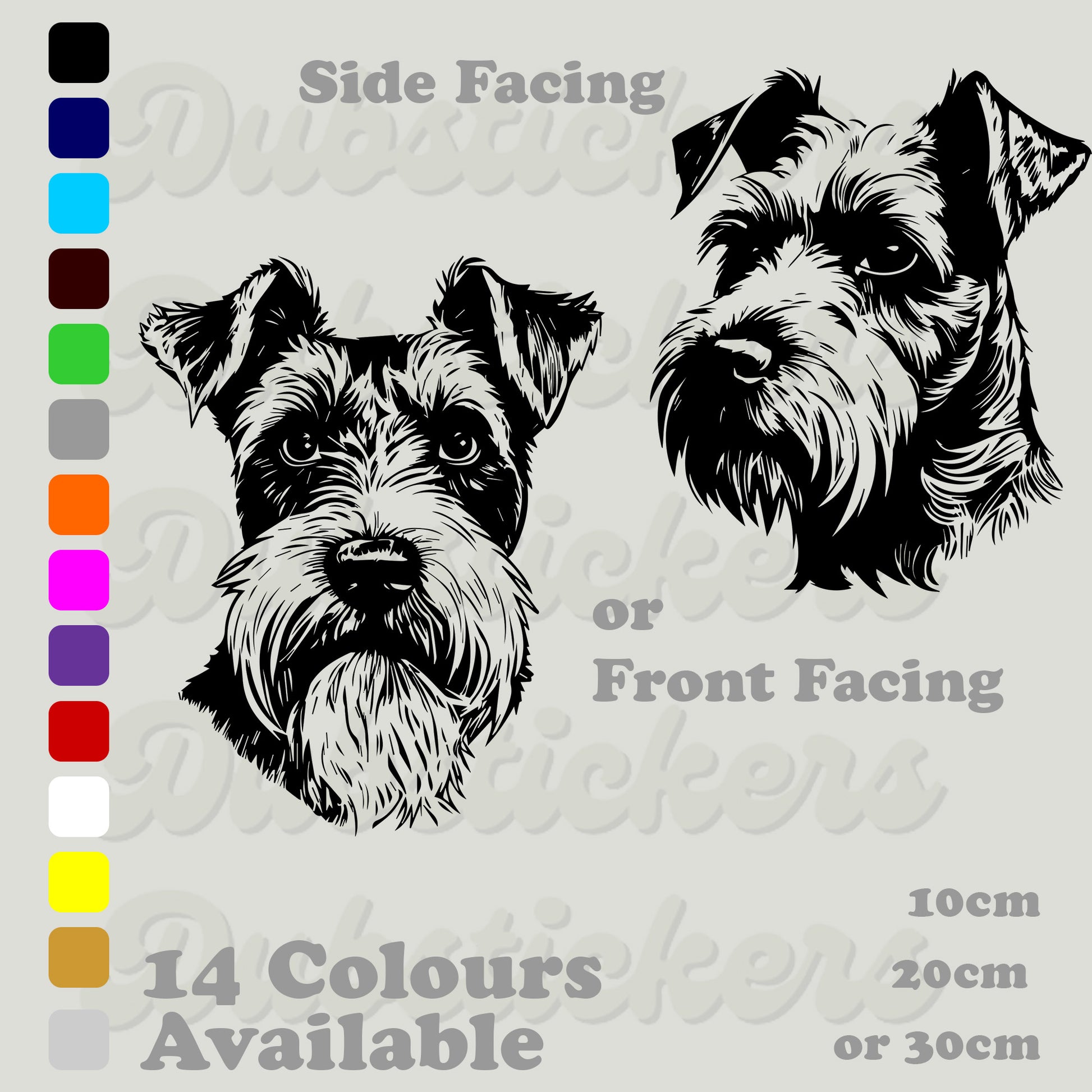 Airdale Terrier front and side facing