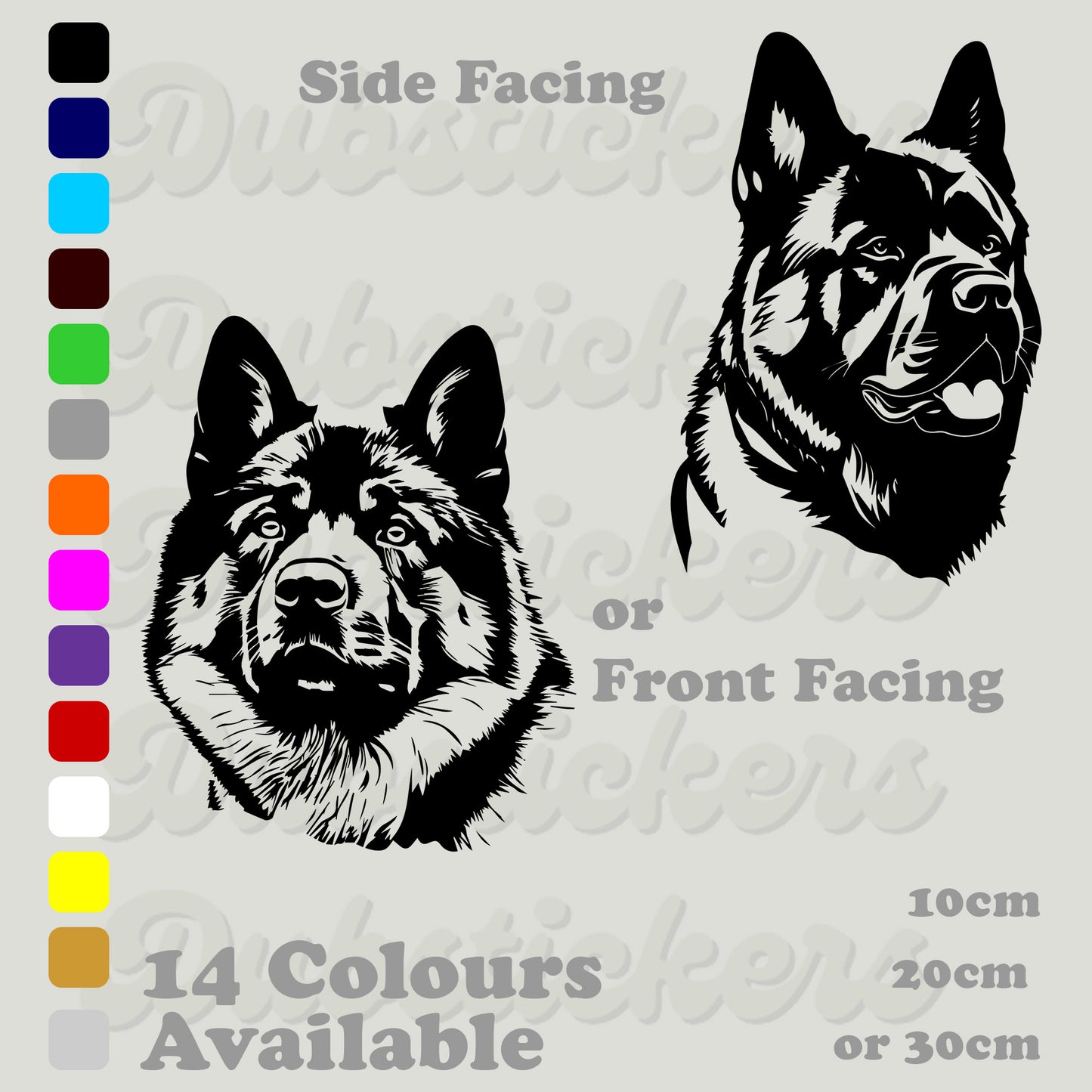 American Akita head front and side facing