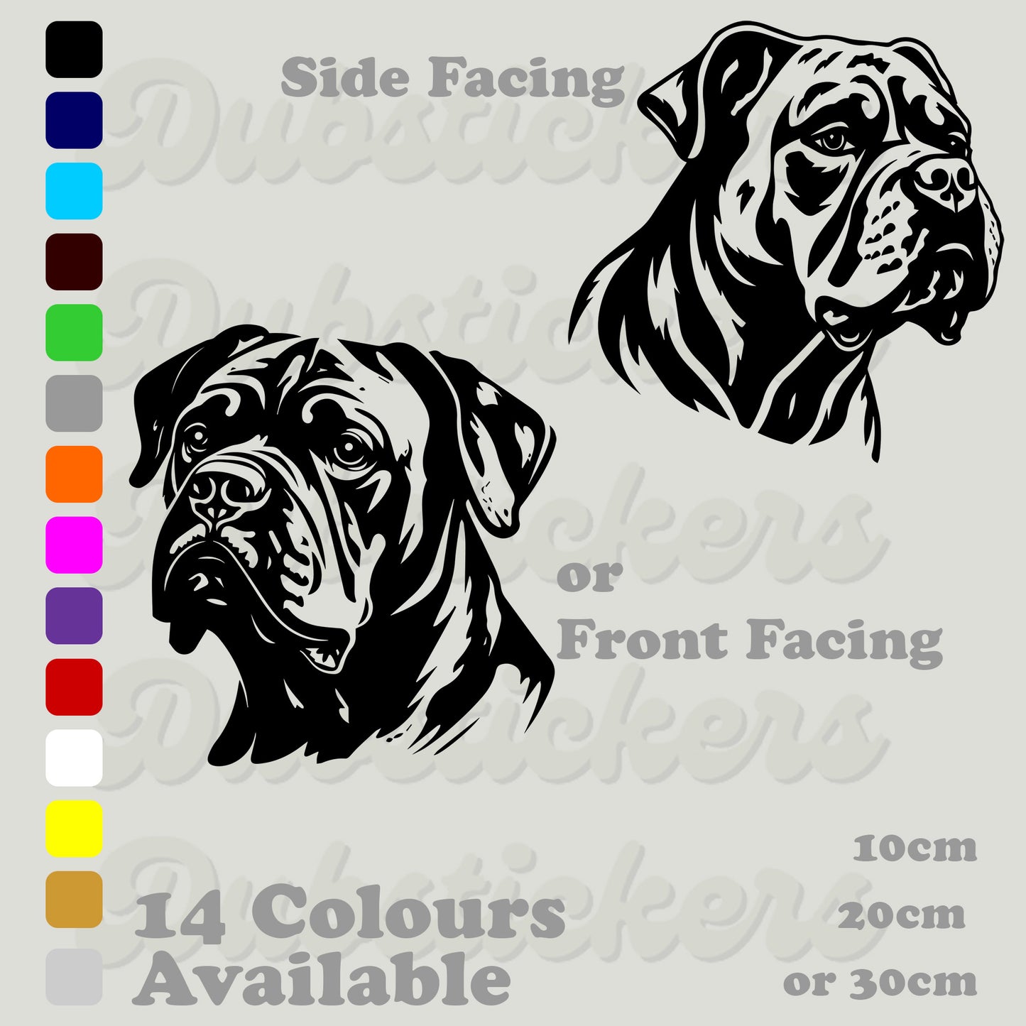 American Bulldog head front and side facing