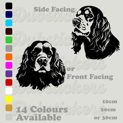 American cocker spaniel head front and side facing