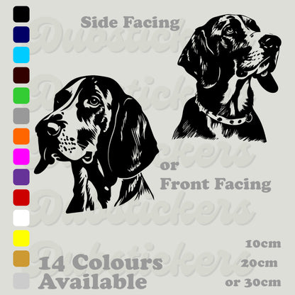 American foxhound head front and side facing