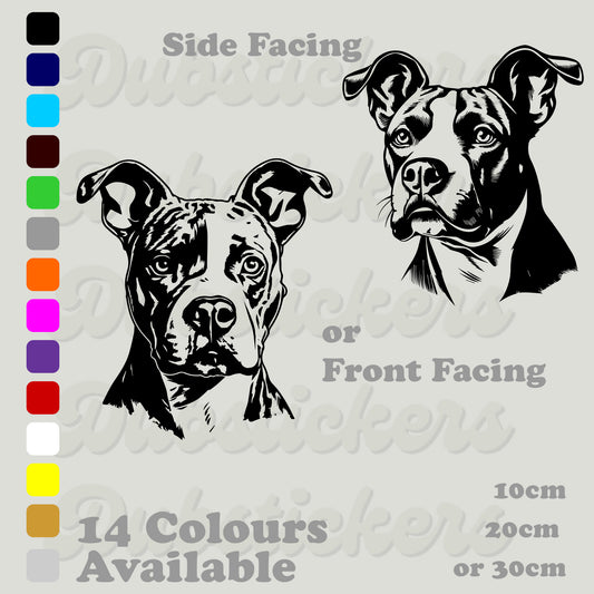 American Pitbull front and side facing head