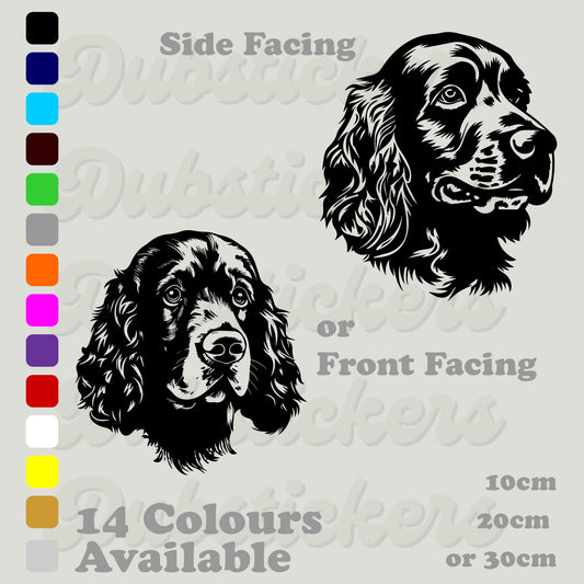 American Water Spaniel front and side facing head