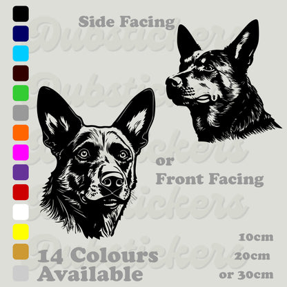 Australian Cattle dog head front and side facing