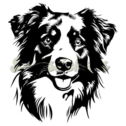 Australian Shepherd Decal