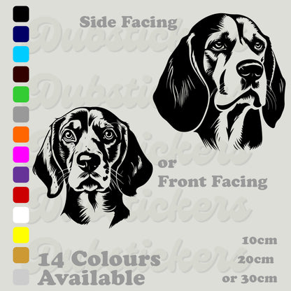 Beagle front and side facing head