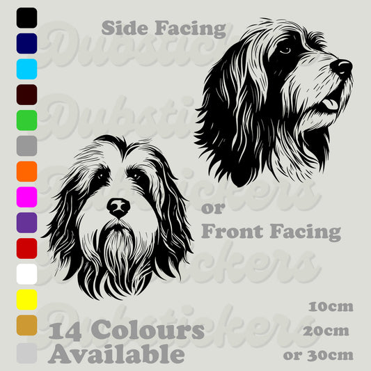 Bearded Collie front and side head pose