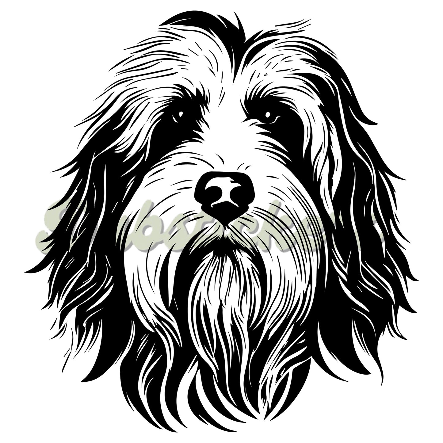 Bearded Collie Decal