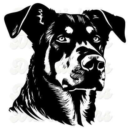 Beauceron Decal