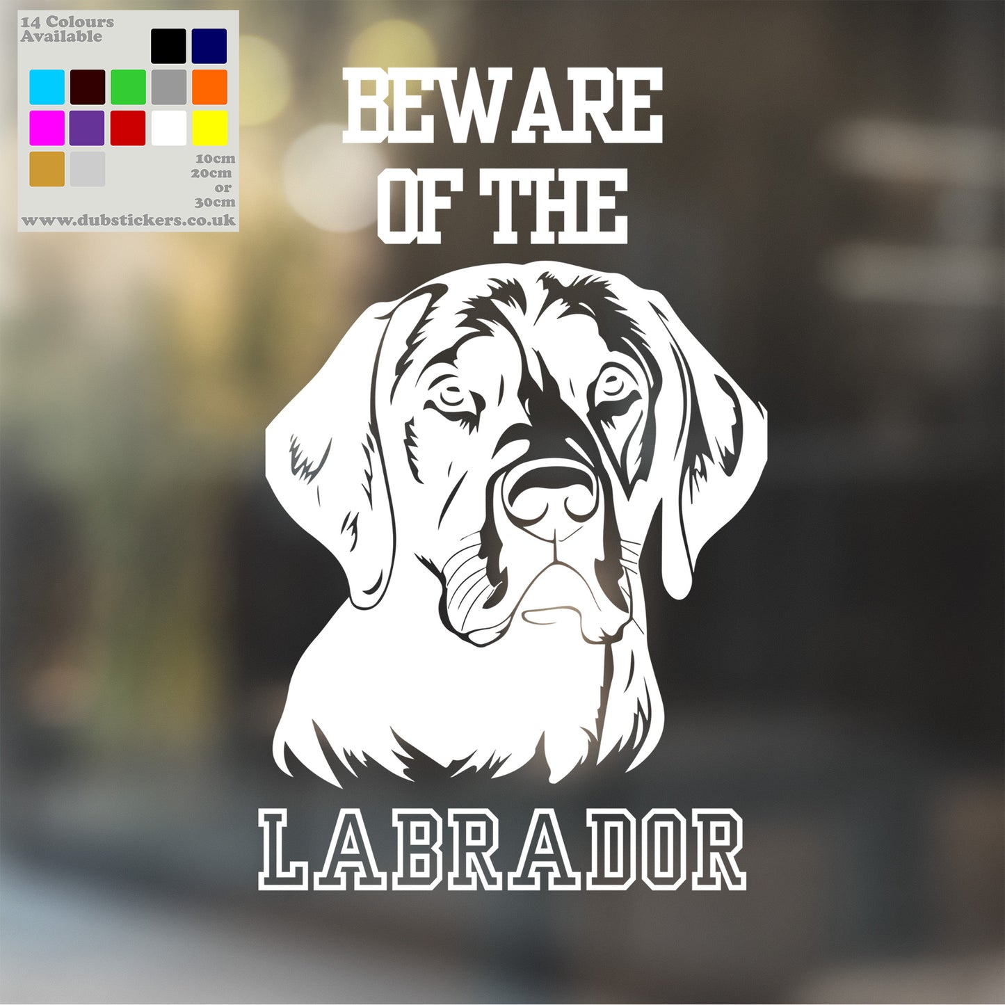 Beware Of Labrador Decal