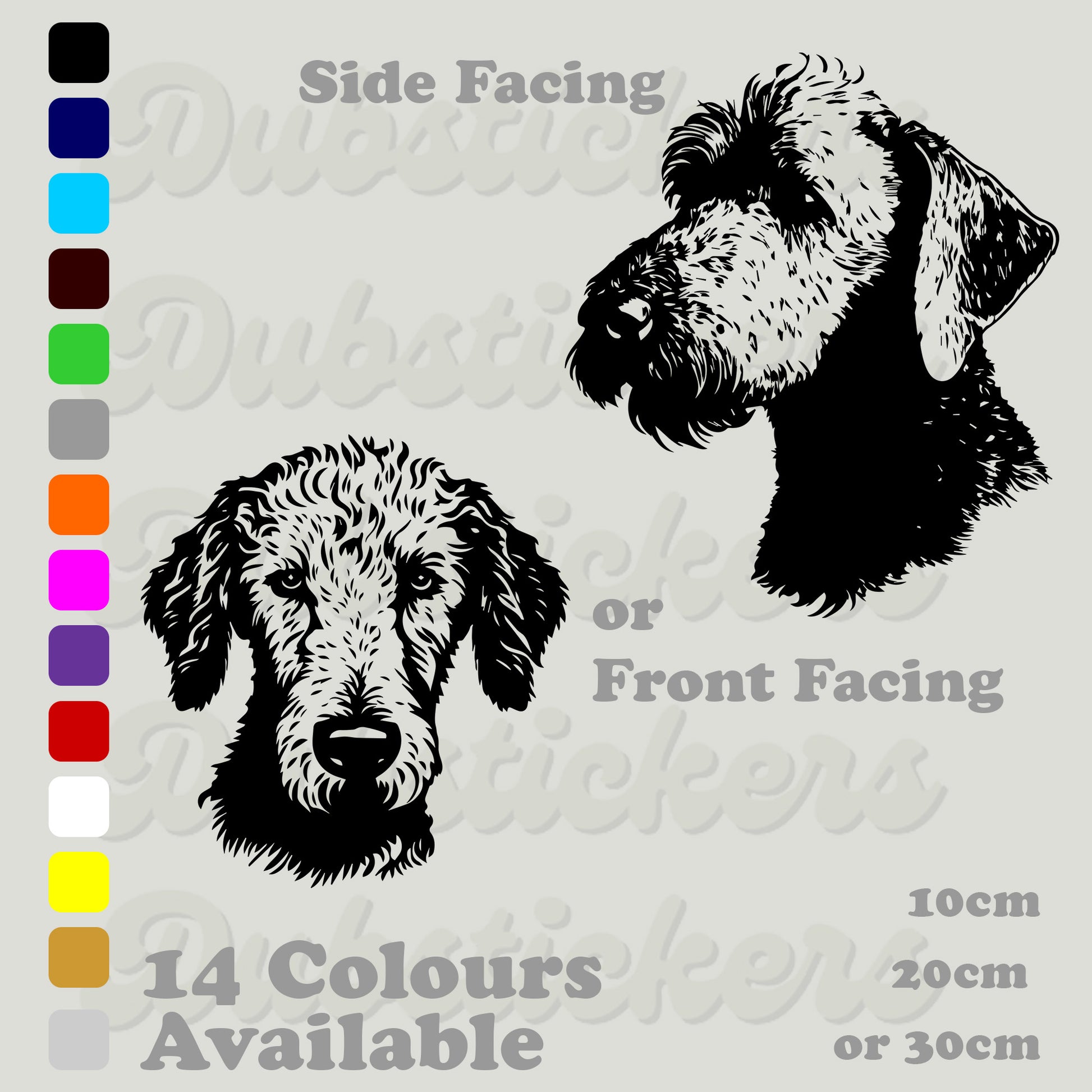 Bedlington Terrier front and side head positition