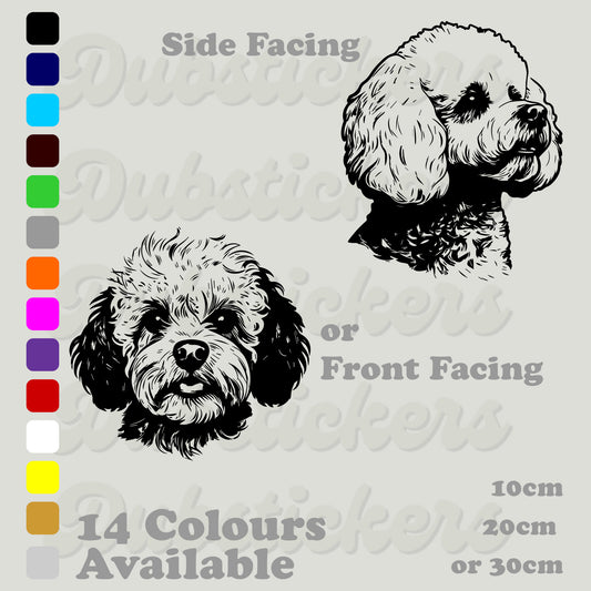 Bichon Frise Front & Side facing head