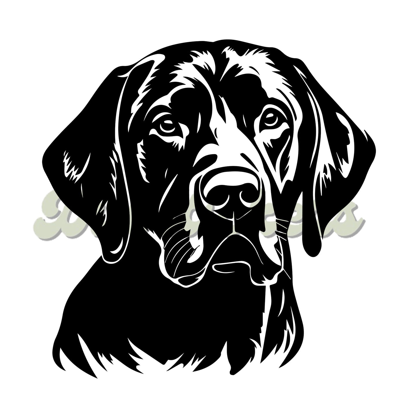 Labrador Decal