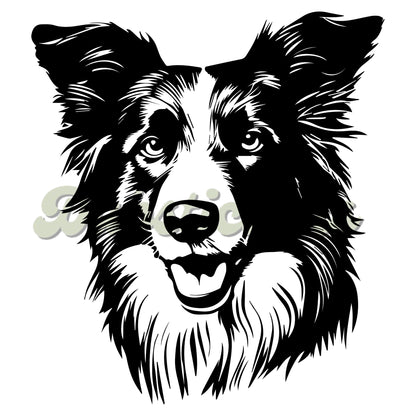 Border Collie Decal