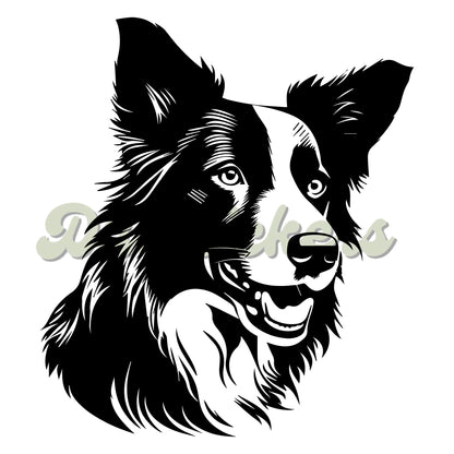 Border Collie Decal