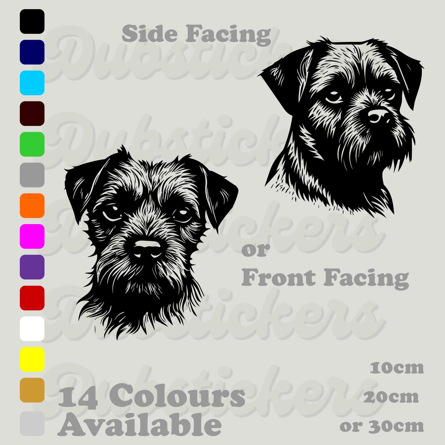 Border Terrier, front and side facing head