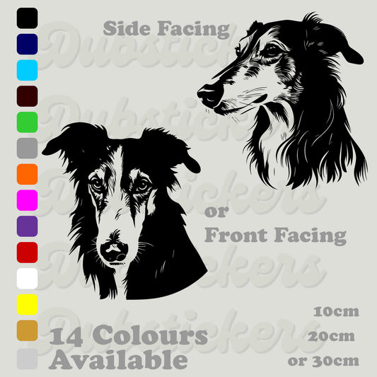 Borzoi, front and side facing head