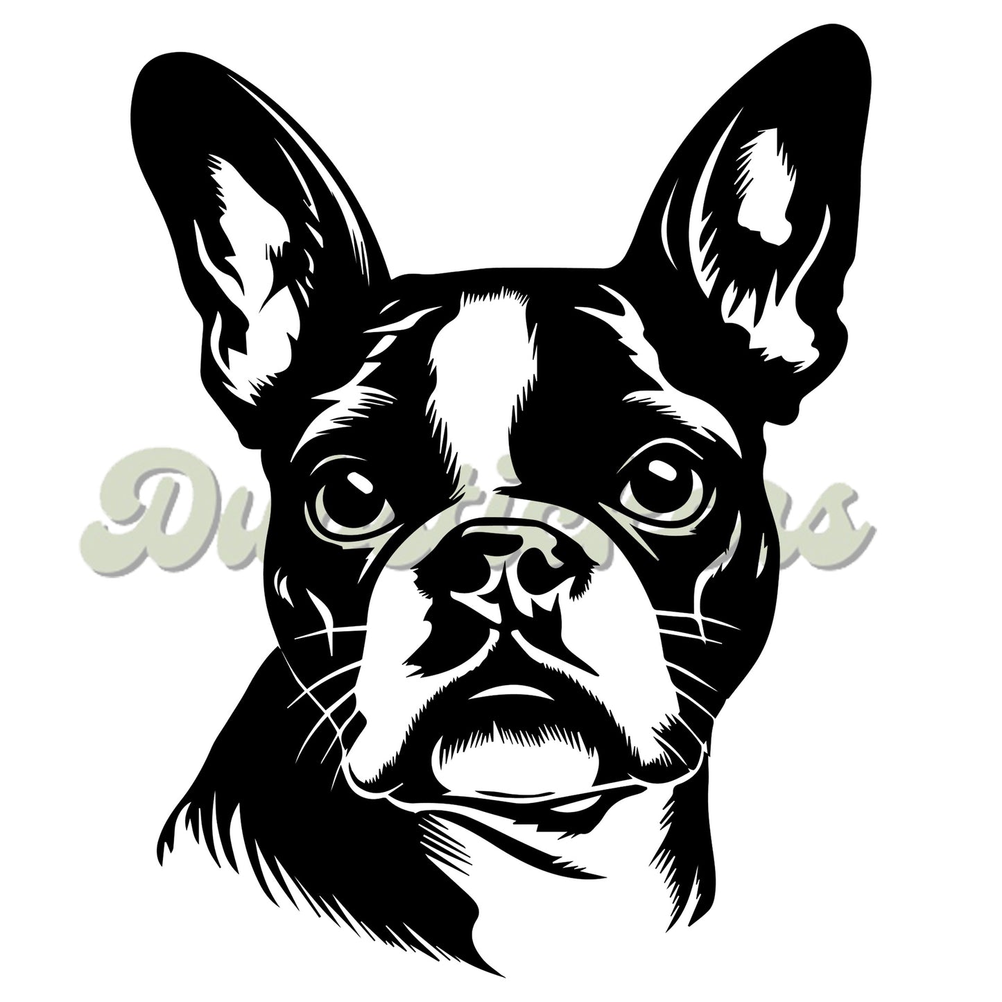 Boston Terrier Decal