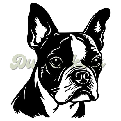 Boston Terrier Decal