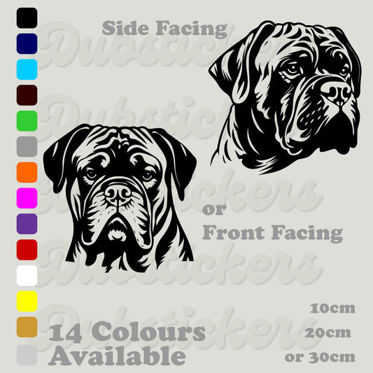 Bullmastiff front and side facing head