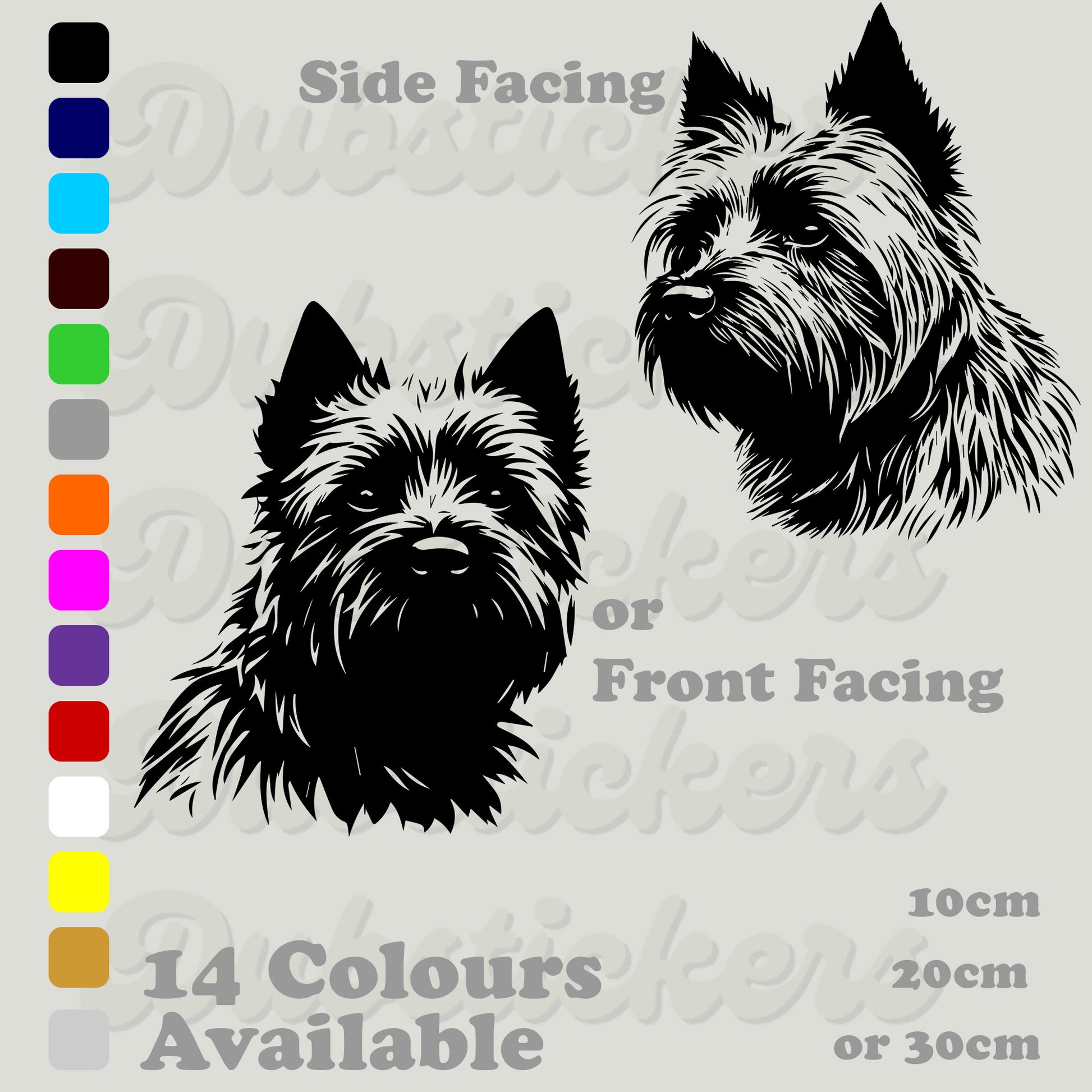 Cairn Terrier front and side facing head