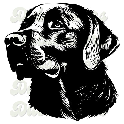 Chocolate Labrador Dog Head Decal