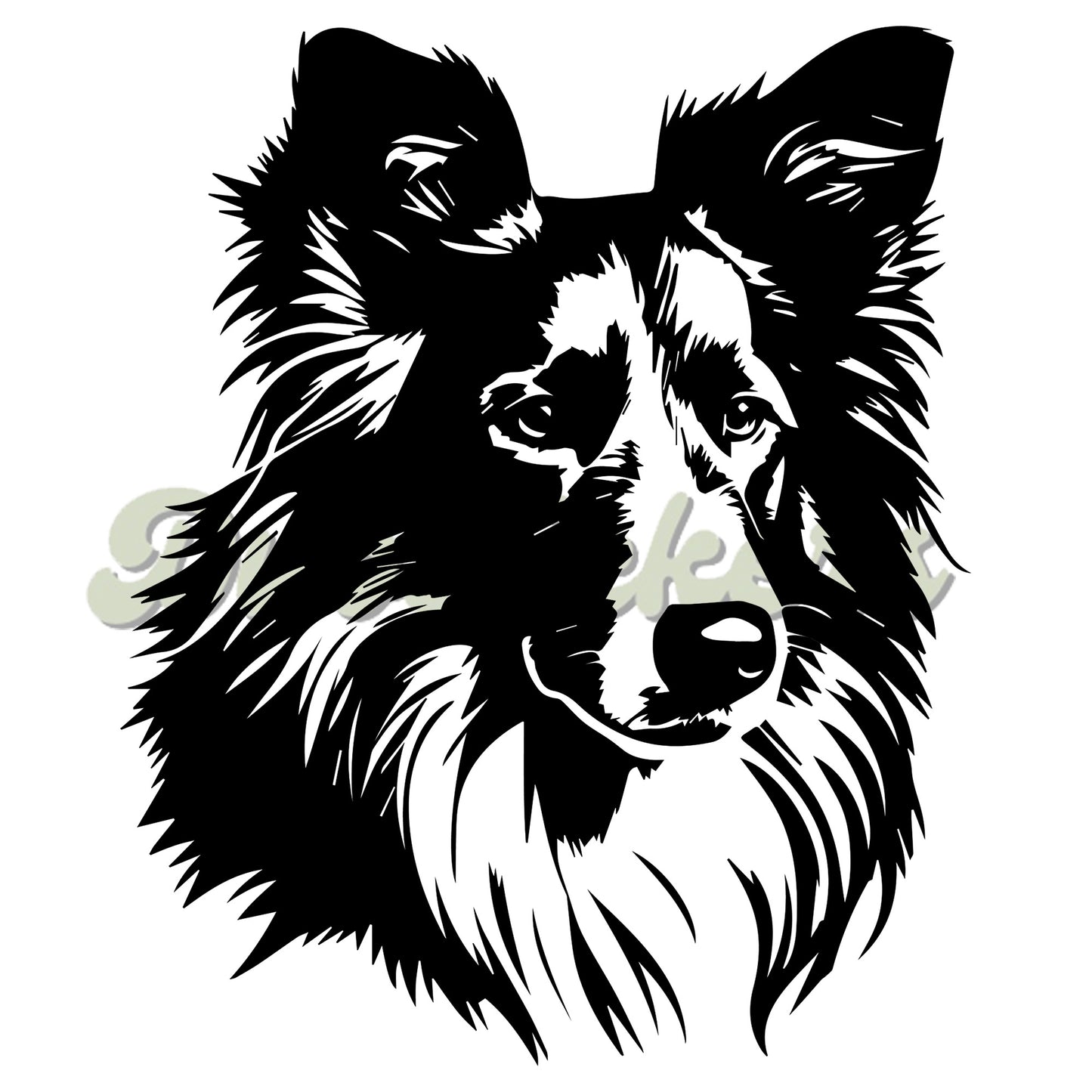 Rough Collie Decal