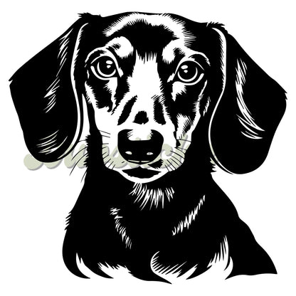 Dachshund Decal