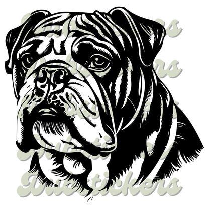 British Bulldog Decal