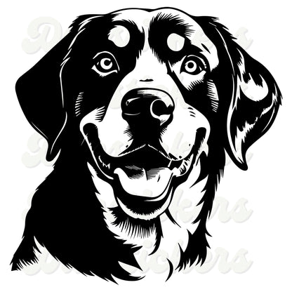 Entlebucher Mountain Dog Decal