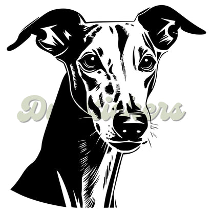 Greyhound Decal