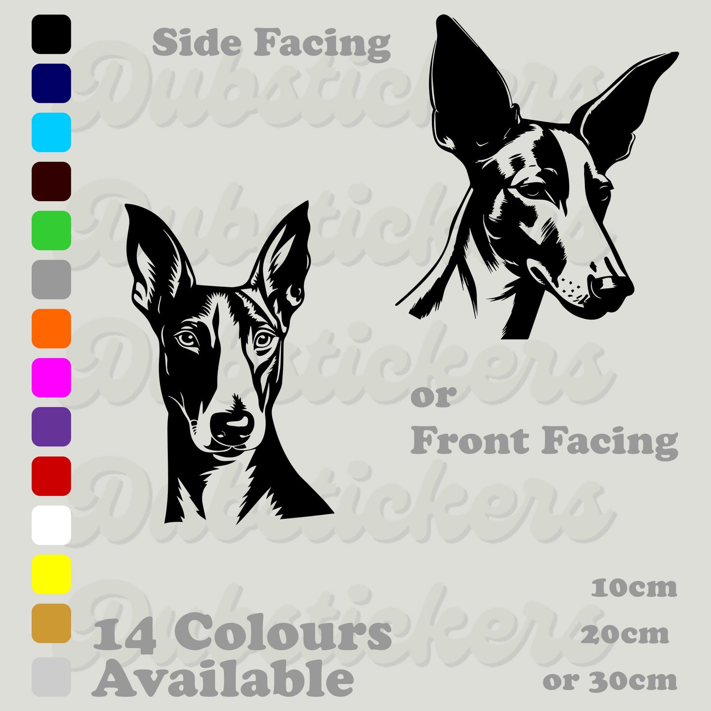 Ibizan Hound Decal