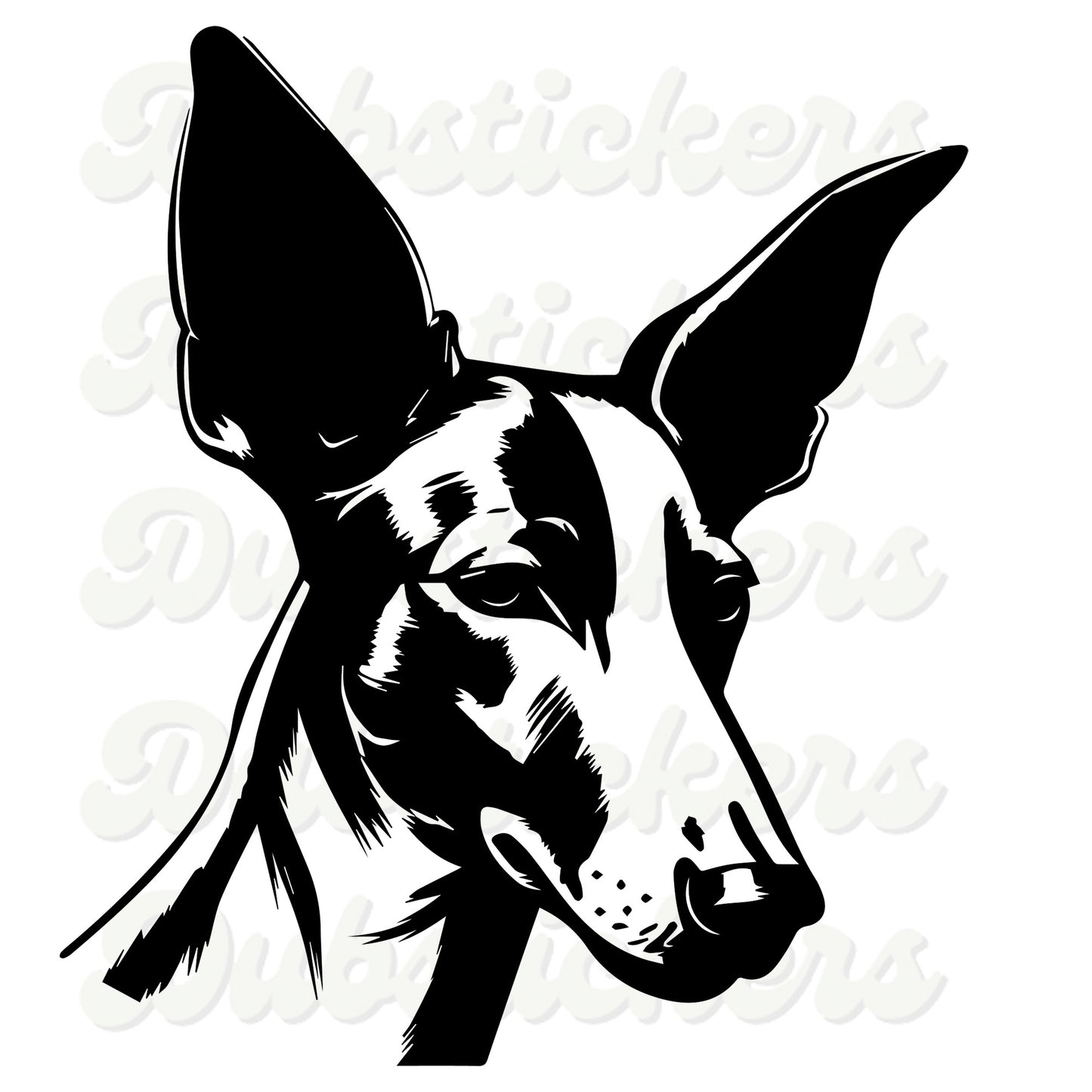 Ibizan Hound Decal