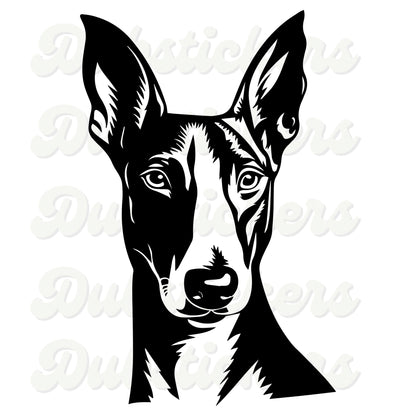 Ibizan Hound Decal