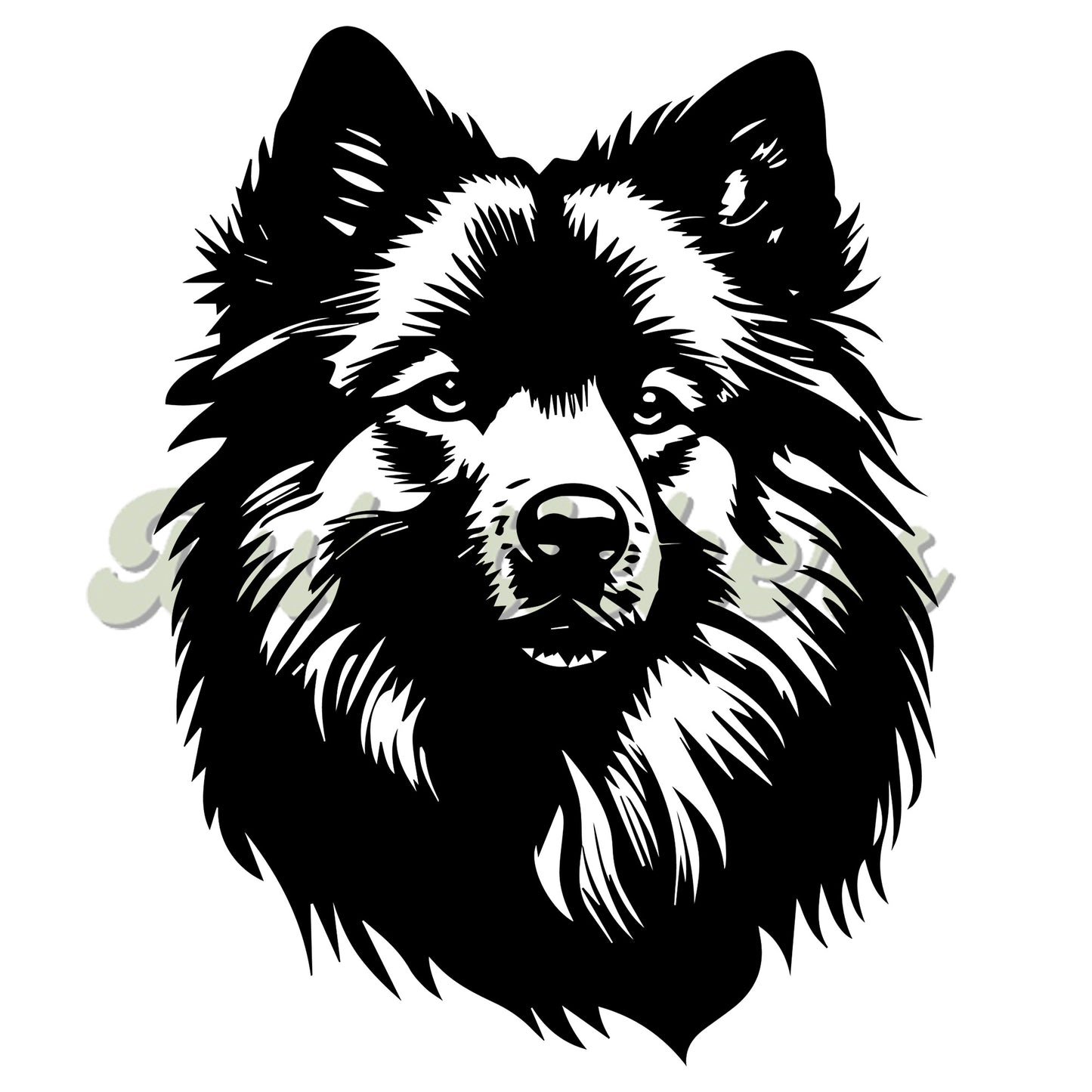 Keeshond Decal