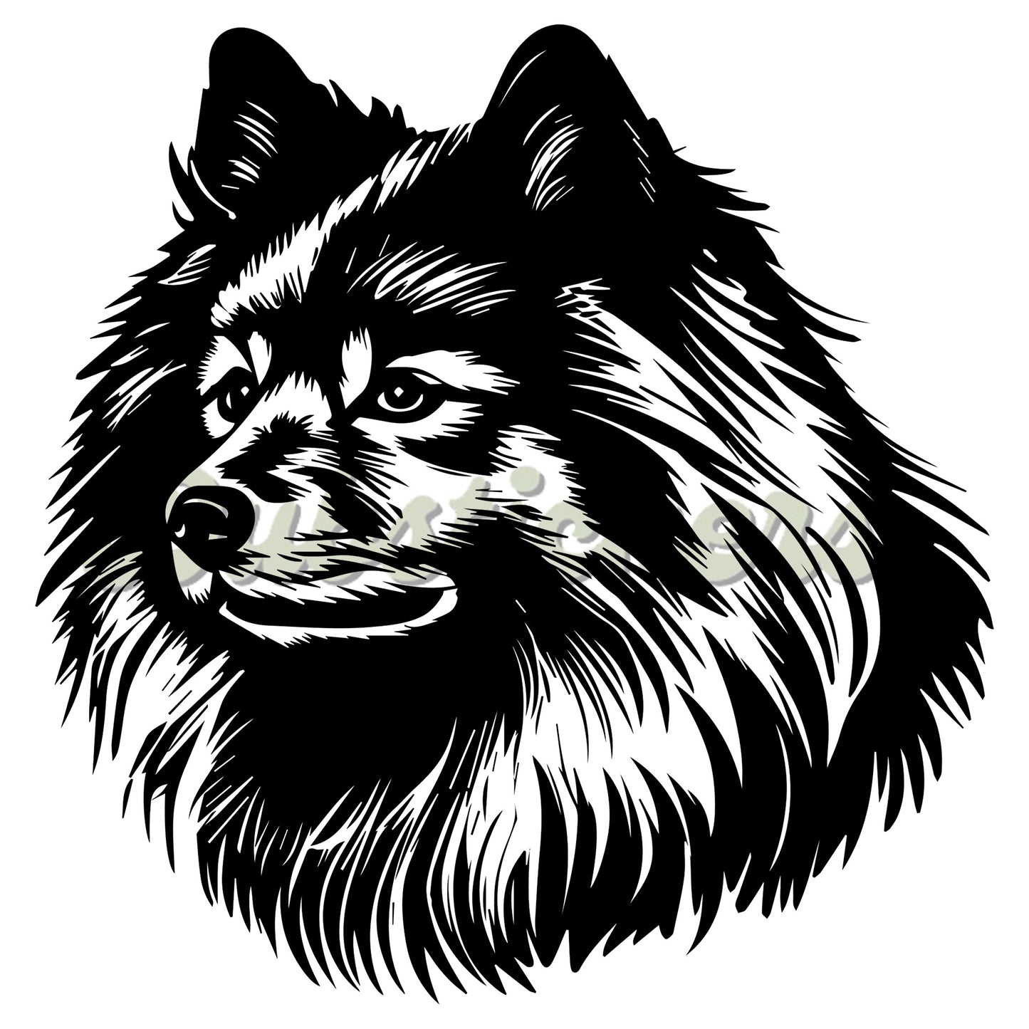 Keeshond Decal