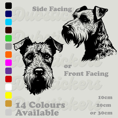 Lakeland Terrier front and side facing head