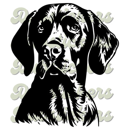 Pointer Dog Head Decal