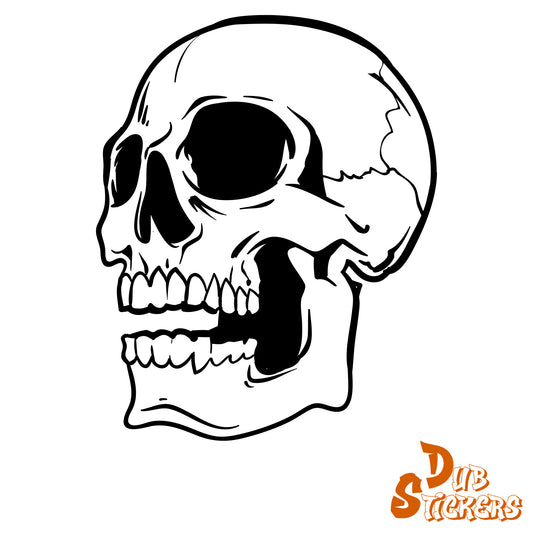 Skull Decal Vinyl Waterpoof Sticker Campervan Laptop Window