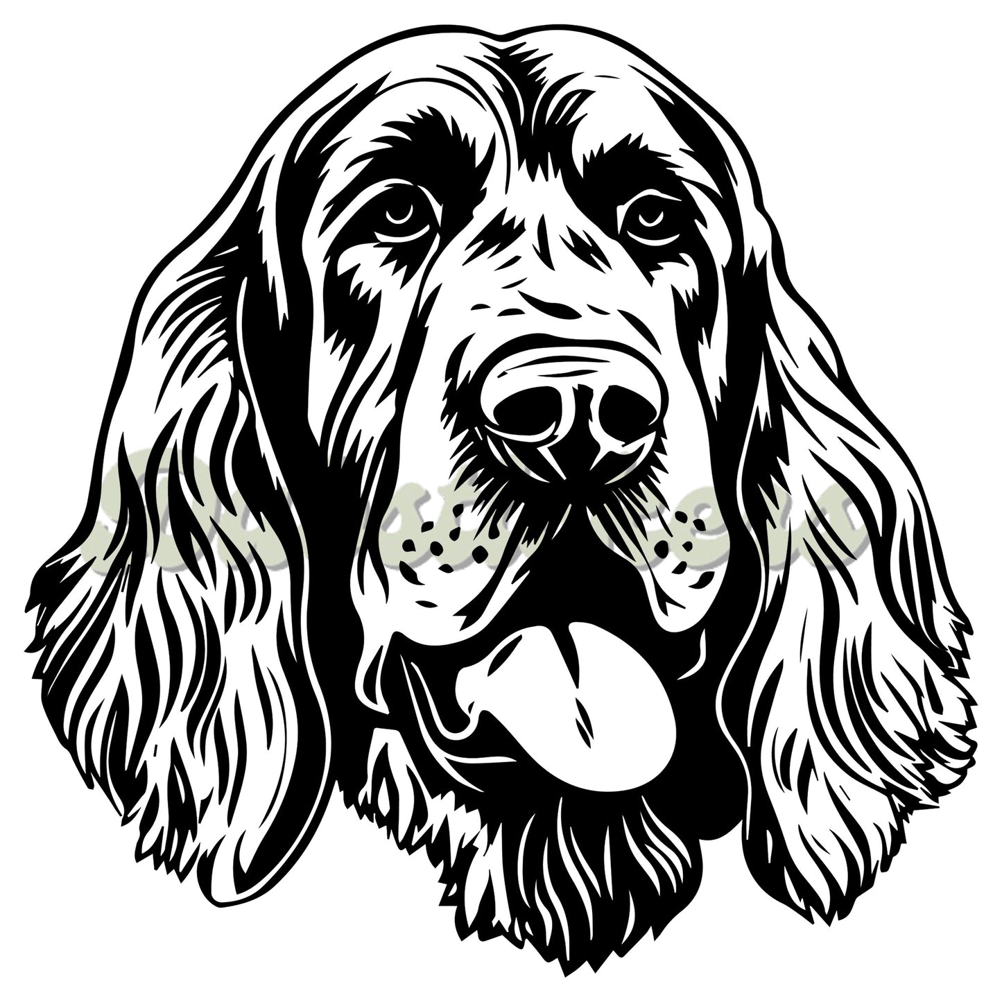 Italian Spinone Decal