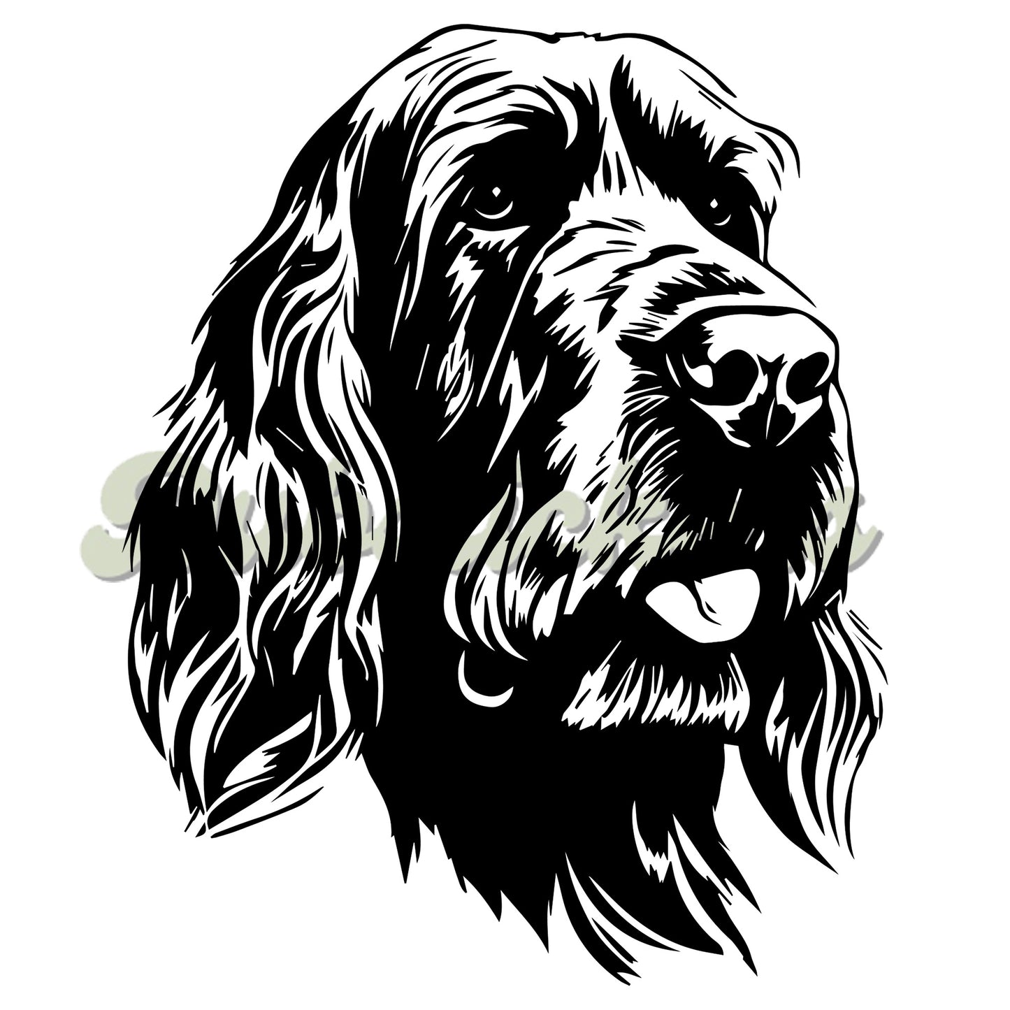 Italian Spinone Decal