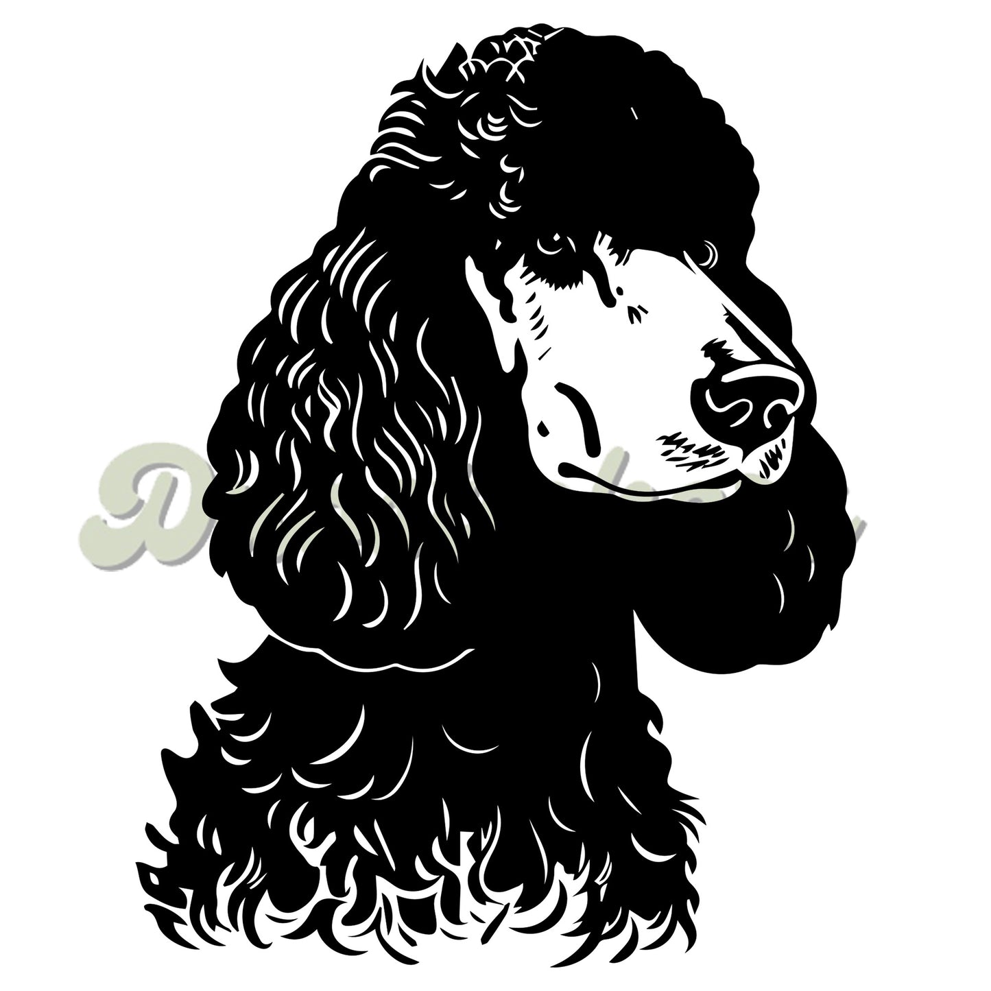 Standard Poodle Decal