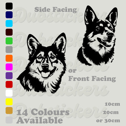 Swedish Vallhund Dog Head Decal