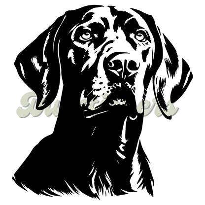 Vizsla Decal