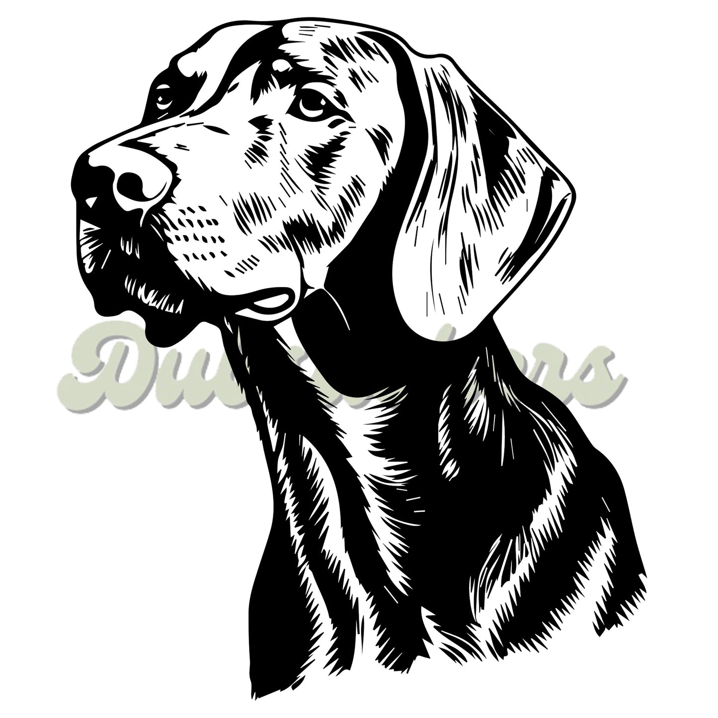 Vizsla Decal