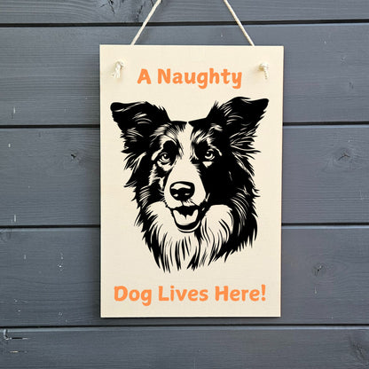 Personalised Dog Wooden Sign