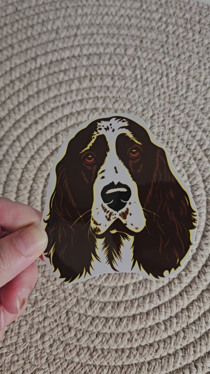 Springer Spaniel Die Cut Sticker